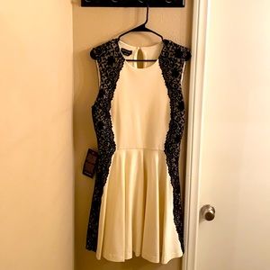 Never Worn Lace Fit and Flare Dress.
